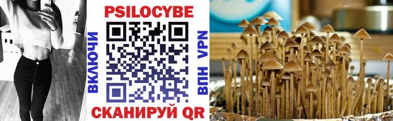 Галлюциногенные грибы прущие грибы  где продают наркотики  Волчанск 